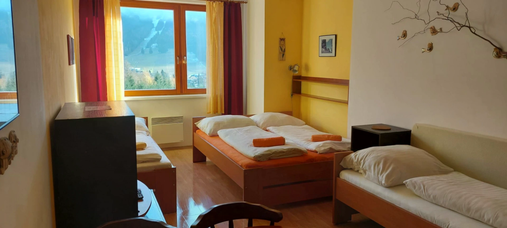 Little Mountain Apartment